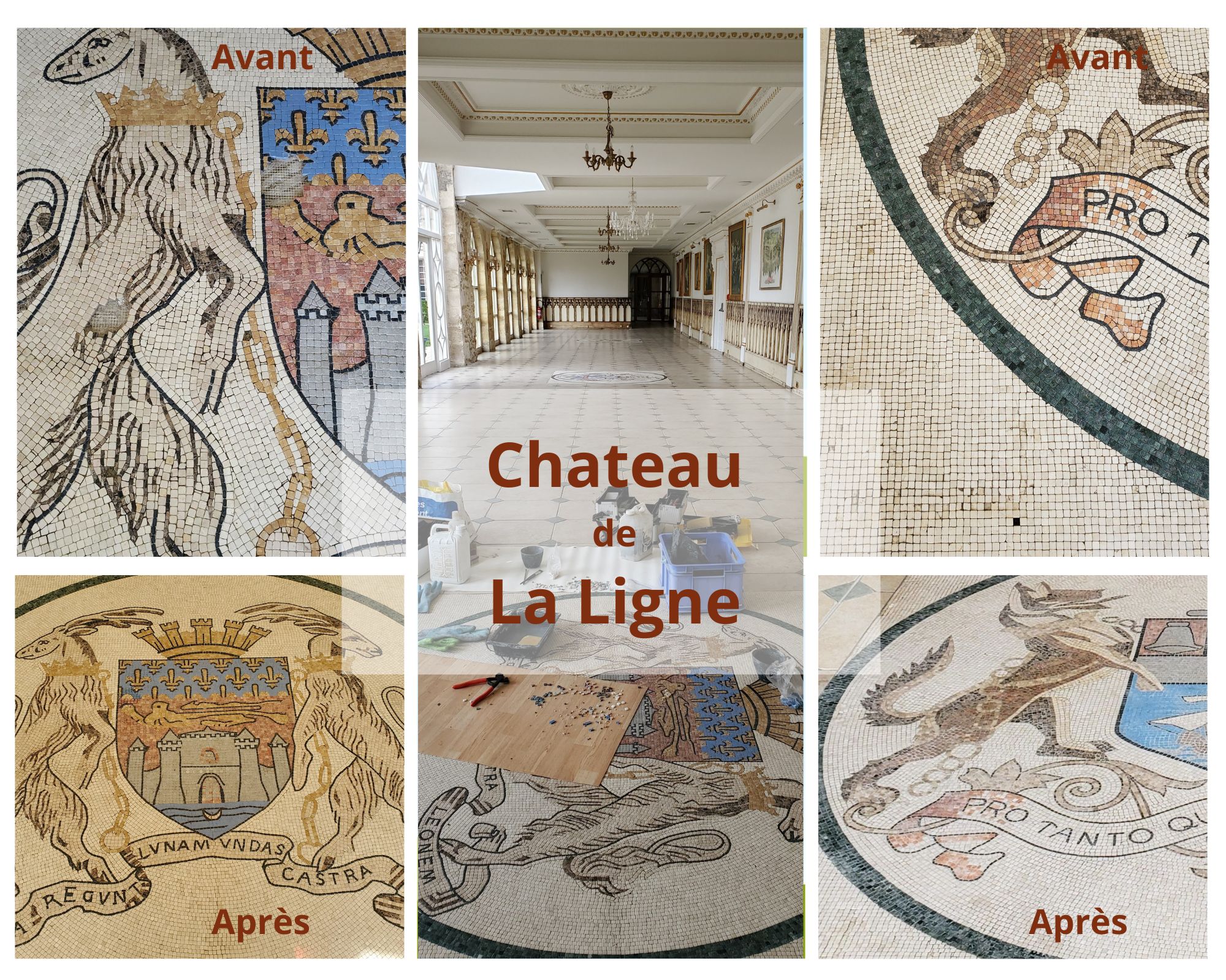 Tessae Magali Magère Restauration des mosaïques du château de la Ligne Lignan de Bordeaux
